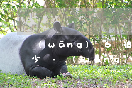網(wǎng)貸6萬被起訴請律師處理多少錢-網(wǎng)貸6萬被起訴請律師處理多少錢啊
