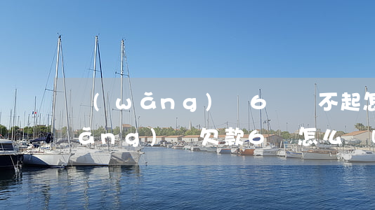 網(wǎng)貸6萬還不起怎么辦(網(wǎng)貸欠款6萬怎么辦啊)