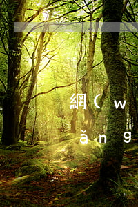 網(wǎng)貸7天的會被起訴嗎(網(wǎng)貸七天)