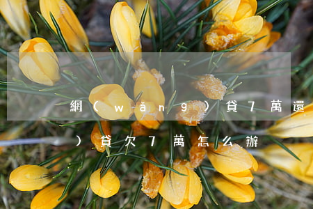 網(wǎng)貸7萬還不起 網(wǎng)貸欠7萬怎么辦