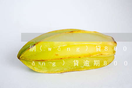 網(wǎng)貸800元逾期一年(網(wǎng)貸逾期8000會被起訴嗎)