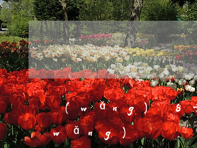 網(wǎng)貸8千多不還會坐牢嗎(網(wǎng)貸沒還會不會坐牢)