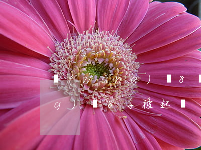 網(wǎng)貸8萬被起訴-網(wǎng)貸8千被起訴