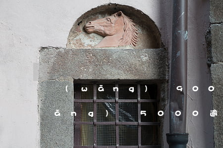 網(wǎng)貸9000逾期兩年(網(wǎng)貸5000逾期一年)