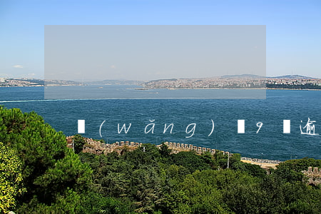 網(wǎng)貸9萬逾期后被起訴怎么辦