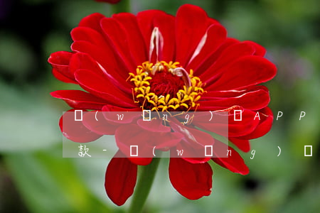 網(wǎng)貸APP無法登錄該怎么還款-網(wǎng)貸app無法登錄該怎么還款呢