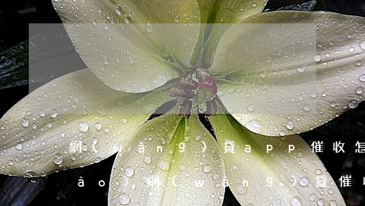 網(wǎng)貸app催收怎么舉報(bào)(網(wǎng)貸催收舉報(bào)電話)
