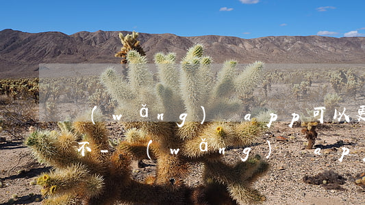 網(wǎng)貸app可以更改還款金額不-網(wǎng)貸app可以更改還款金額不