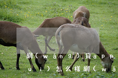 網(wǎng)貸app逾期不處理會(huì)怎么樣（網(wǎng)貸逾期app找不到了）