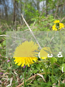 網(wǎng)貸app還款還不了可不還嗎-網(wǎng)貸app還款還不了可不還嗎怎么辦