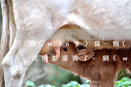 網(wǎng)貸一個(gè)月逾期17次但都還清了-網(wǎng)貸一個(gè)月逾期17次但都還清了怎么辦