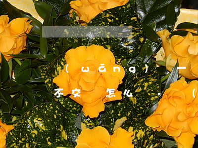網(wǎng)貸一個(gè)月逾期幾百不交會怎么樣-網(wǎng)貸逾期一個(gè)月會怎么樣?不還的后果你要知曉!