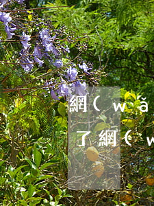 網(wǎng)貸一共欠了18萬準備強制了(網(wǎng)貸欠了17萬)