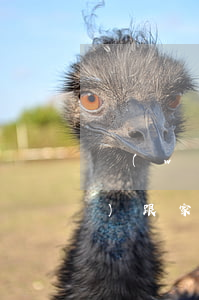 網(wǎng)貸一共欠了30萬(wàn)跟家里坦白嗎(網(wǎng)貸一共欠了30萬(wàn)跟家里坦白嗎)