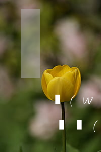 網(wǎng)貸一共欠了十萬(欠了10多萬網(wǎng)貸怎么辦)