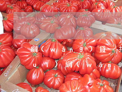 網(wǎng)貸一共欠二十幾萬(正規(guī)網(wǎng)貸欠了二十萬)