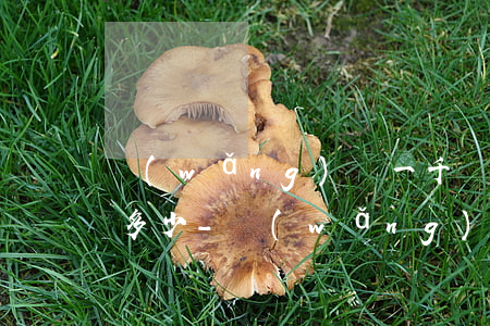 網(wǎng)貸一千塊錢逾期一個月利息多少-網(wǎng)貸一千塊錢逾期一個月利息多少錢