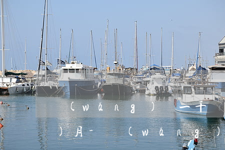 網(wǎng)貸一千塊錢逾期半個(gè)月-網(wǎng)貸一萬(wàn)逾期一個(gè)月利息