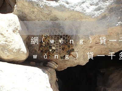 網(wǎng)貸一千多元逾期怎么辦(網(wǎng)貸一千多塊錢逾期了問題嚴重嗎)