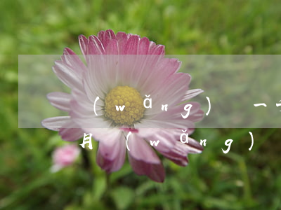 網(wǎng)貸一千多逾期三個(gè)月(網(wǎng)貸三千逾期一年要還多少)