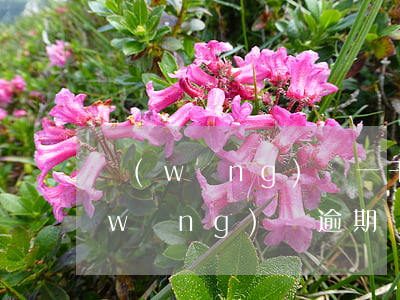 網(wǎng)貸一千逾期了詐騙罪嗎(網(wǎng)貸逾期屬于合同詐騙嗎)