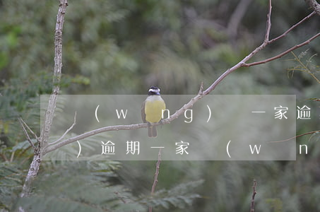 網(wǎng)貸一家逾期其他沒(méi)逾期(一家網(wǎng)貸逾期會(huì)不會(huì)影響到其他網(wǎng)貸)