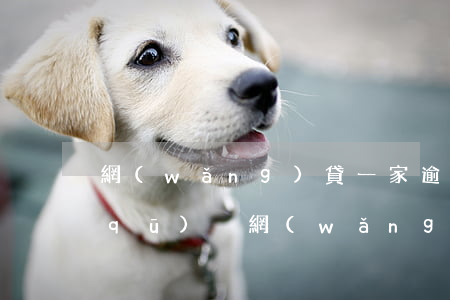 網(wǎng)貸一家逾期和多家逾期區(qū)別(網(wǎng)貸逾期一家和十家)