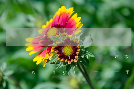 網(wǎng)貸一年不還利息有多少(網(wǎng)貸一萬一年利息多少)
