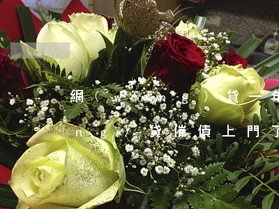 網(wǎng)貸一年了催收上門(網(wǎng)貸催債上門了怎么辦)