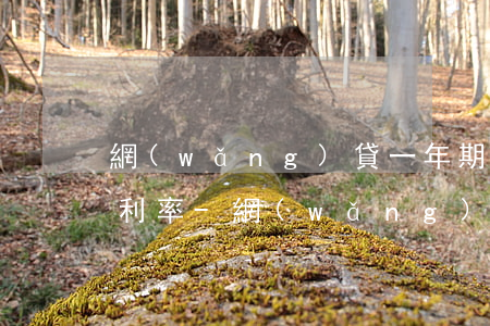 網(wǎng)貸一年期每期還款怎么計算利率-網(wǎng)貸一年期每期還款怎么計算利率的