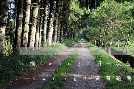 網(wǎng)貸一次逾期能辦信用卡嗎(網(wǎng)貸有逾期信用卡可以辦理嗎)