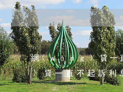 網(wǎng)貸一直不起訴(網(wǎng)貸一直不起訴利息就要一直還嗎)