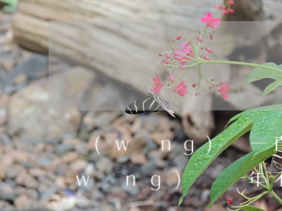 網(wǎng)貸一直不還最高判幾年(網(wǎng)貸幾年不還會(huì)不會(huì)起訴)