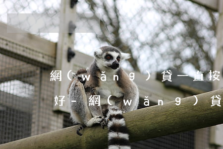 網(wǎng)貸一直按時還款信譽為啥不好-網(wǎng)貸一直按時還款信譽為啥不好了呢