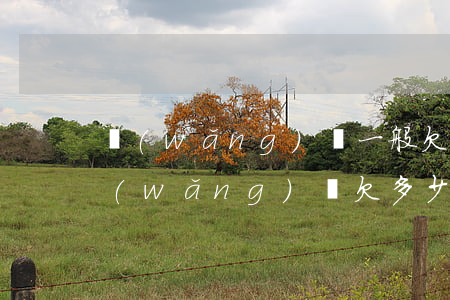 網(wǎng)貸一般欠多少才會被起訴(網(wǎng)貸欠多少會被起訴?)