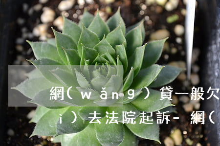 網(wǎng)貸一般欠多少錢才會(huì)去法院起訴-網(wǎng)貸一般欠多少錢才會(huì)去法院起訴呢