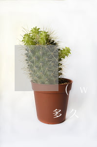 網(wǎng)貸一般起訴時(shí)間多久(網(wǎng)貸起訴多久立案)