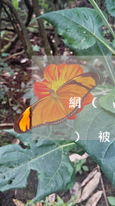 網(wǎng)貸一般逾期多久會(huì)被起訴銀行-網(wǎng)貸逾期多久能被起訴
