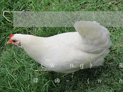 網(wǎng)貸一般逾期多久發(fā)律師函-網(wǎng)貸逾期要發(fā)律師函