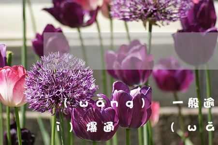 網(wǎng)貸一般逾期是多久會(huì)爆通訊錄（網(wǎng)貸一般逾期是多久）