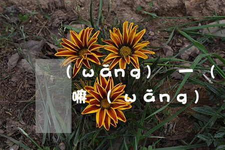 網(wǎng)貸一萬(wàn)不還能上訴嘛(網(wǎng)貸不到一萬(wàn)不還會(huì)被起訴嗎)