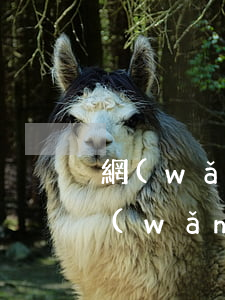 網(wǎng)貸一萬不還值得起訴嗎(欠網(wǎng)貸一萬塊錢會不會被起訴)