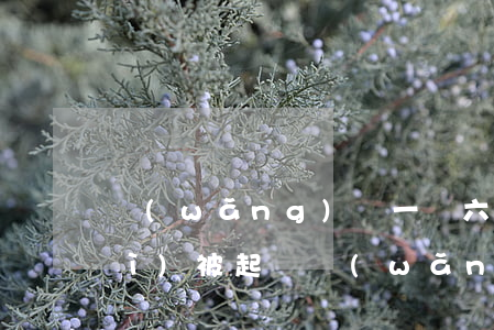 網(wǎng)貸一萬六逾期多久會(huì)被起訴(網(wǎng)貸逾期一萬多會(huì)被起訴嗎)