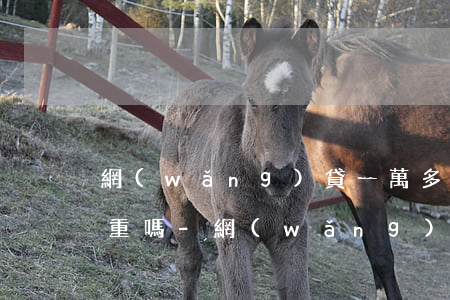 網(wǎng)貸一萬多塊錢逾期了問題嚴重嗎-網(wǎng)貸一萬多塊錢逾期了問題嚴重嗎怎么辦