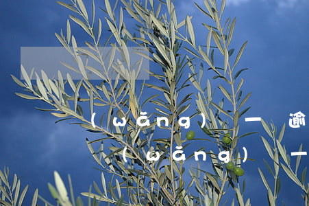 網(wǎng)貸一萬逾期被起訴要還多少錢(網(wǎng)貸一萬逾期被起訴要還多少錢)