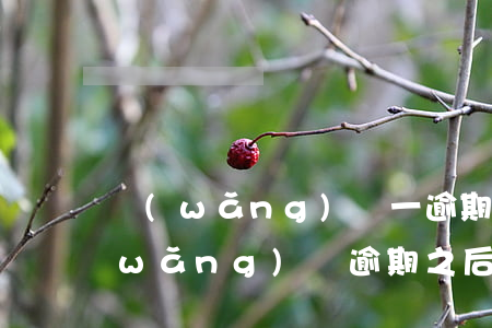 網(wǎng)貸一逾期再也還不上了(網(wǎng)貸逾期之后還了是不是就沒(méi)事了)