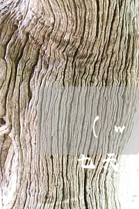 網(wǎng)貸七天欠了6萬點算(有沒有七天的網(wǎng)貸)