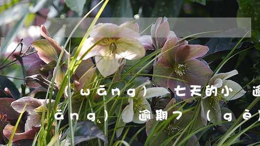網(wǎng)貸七天的小貸逾期了(網(wǎng)貸逾期7個(gè)月以上怎么處理)