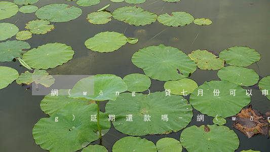 網(wǎng)貸七月份可以申請(qǐng)延期還款嗎-網(wǎng)貸七月份可以申請(qǐng)延期還款嗎