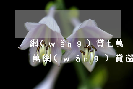 網(wǎng)貸七萬沒逾期怎么辦(欠了七萬網(wǎng)貸還有救嗎)
